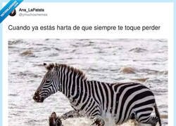 Enlace a Dando la vuelta a la historia, por @ymuchosmemes