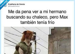 Enlace a Le hacía más falta, por @EnsedeCiencia