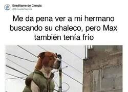 Enlace a Le hacía más falta, por @EnsedeCiencia