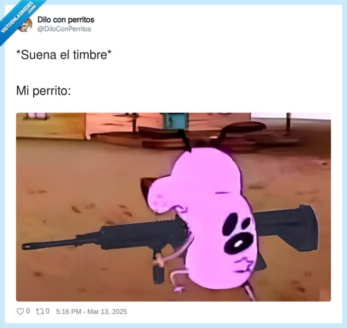 perro,timbre,violento