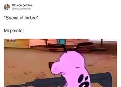 Enlace a A por todas, por @DiloConPerritos