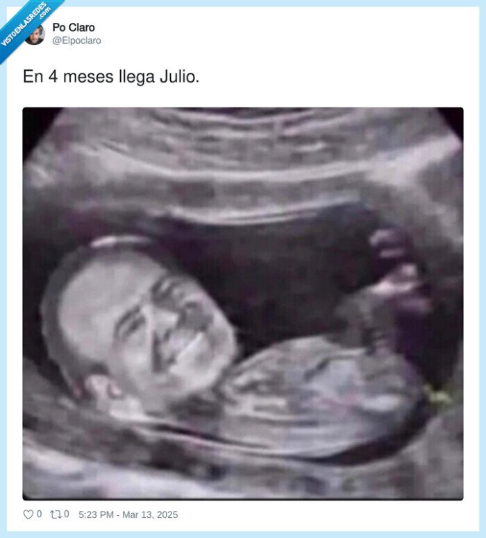 meses,llegar,julio iglesias,feto