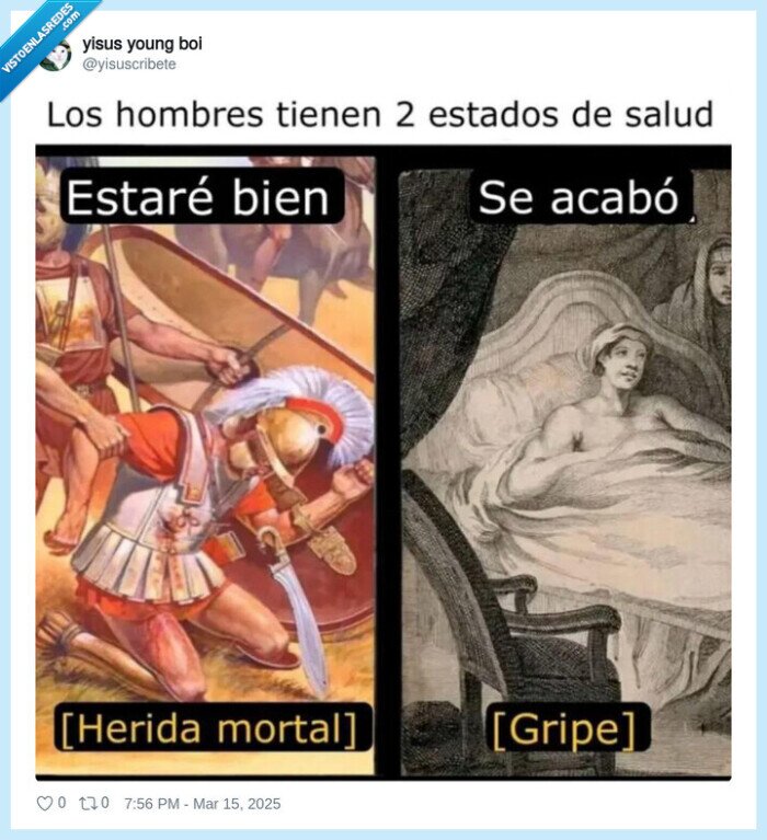 herida mortal,gripe,hombres,salud