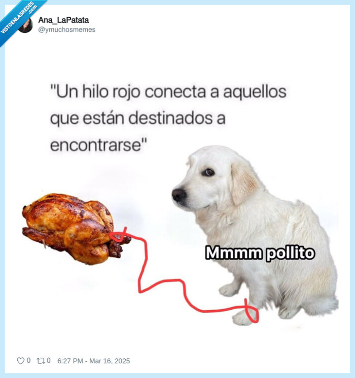 hilo rojo,perro,pollito