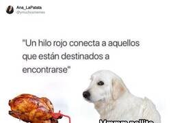 Enlace a Yo con una hamburguesa, por @ymuchosmemes