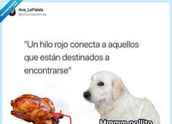 Enlace a Yo con una hamburguesa, por @ymuchosmemes