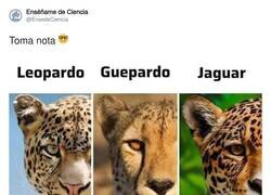 Enlace a Bueno saberlo, me va a servir de nada, por @EnsedeCiencia