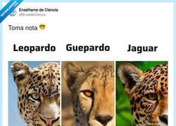 Enlace a Bueno saberlo, me va a servir de nada, por @EnsedeCiencia