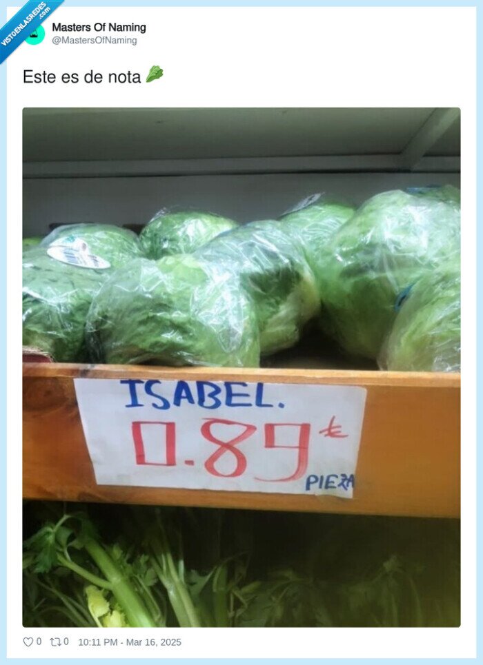 iceberg,lechuga,isabel