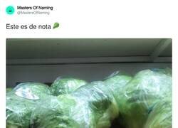 Enlace a Lechuga Isabel, por @MastersOfNaming
