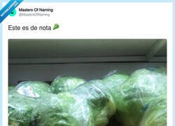 Enlace a Lechuga Isabel, por @MastersOfNaming