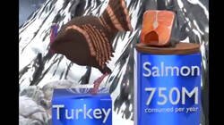 Enlace a Este video me ha dejado pensando mucho, cuántos animales comen los humanos cada año