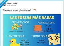 Enlace a ¿Qué pasa si las tengo todas?, por @RincnCuriosoo