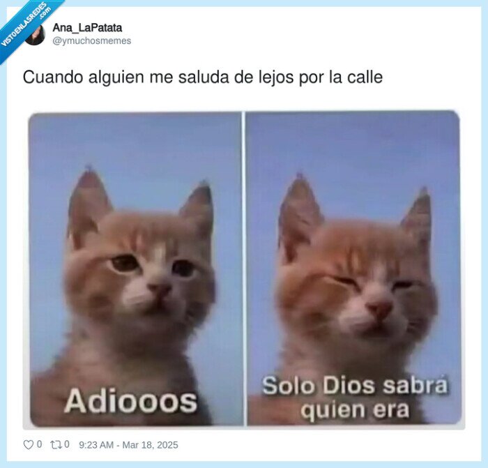 saludar,calle,lejos,vista