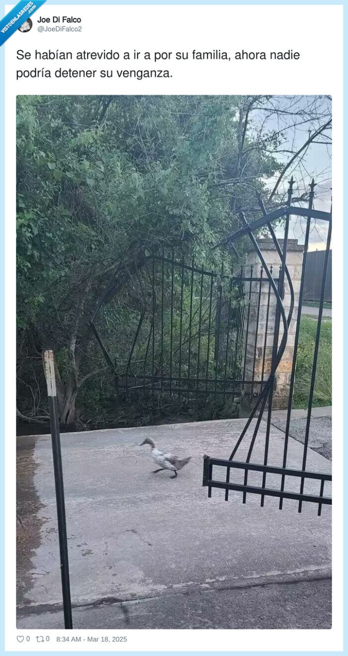 atrevido,familia,venganza,pato,puerta,romper