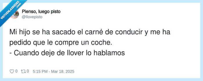 conducir,carné,hijo,posponer
