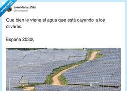 Enlace a Poco verde veo ahí, por @linanjosem