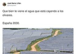 Enlace a Poco verde veo ahí, por @linanjosem