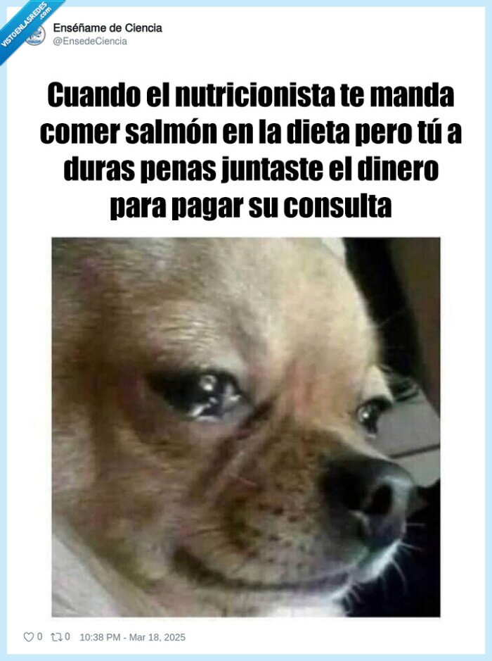 nutricionista,salmon,caro,dinero