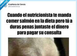 Enlace a Un poco de compasión