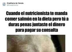 Enlace a Un poco de compasión