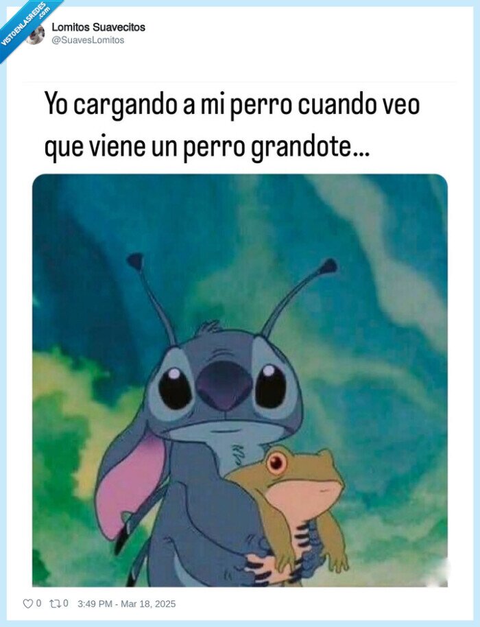perro,cargar,stitch