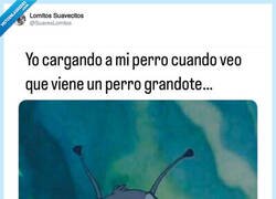 Enlace a Vámonos de aquí, Max, por @SuavesLomitos