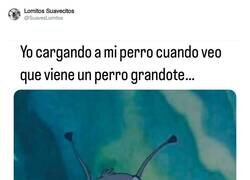 Enlace a Vámonos de aquí, Max, por @SuavesLomitos