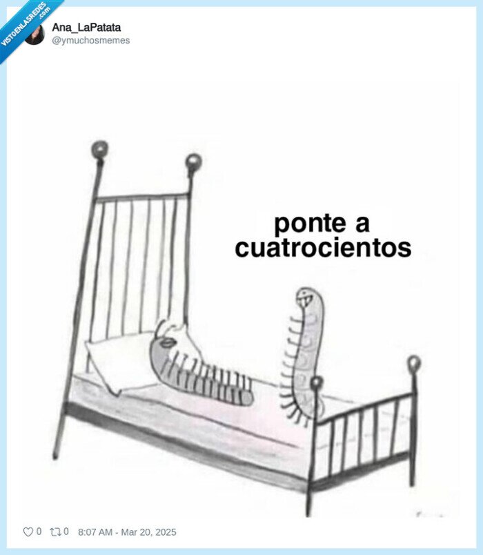 sexo,ciempiés,a cuatrocientos