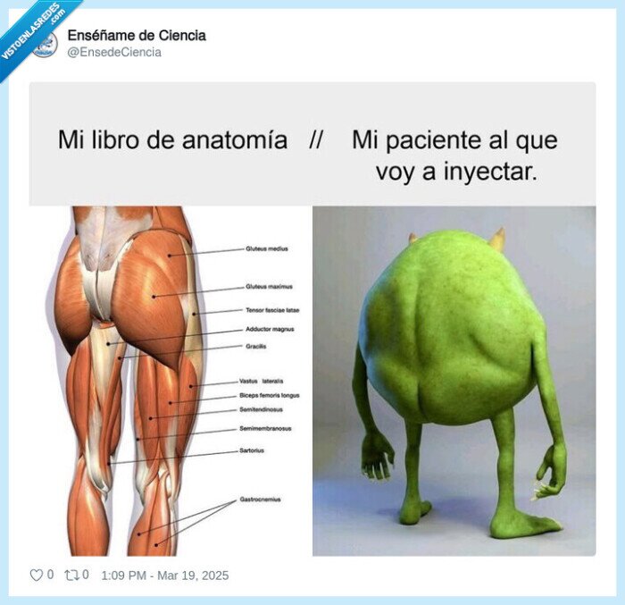 anatomia,monsters sa