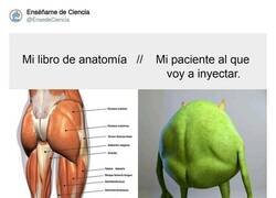 Enlace a Lo bonito del cuerpo humano, por @EnsedeCiencia