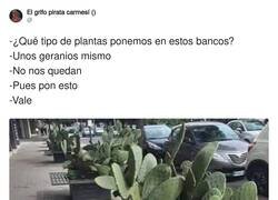 Enlace a Qué mala hostia, por @ErigolDelViento