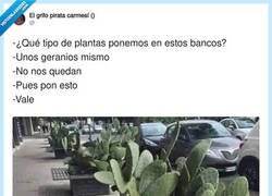 Enlace a Qué mala hostia, por @ErigolDelViento