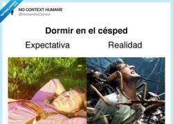 Enlace a Ahí no hay quien duerma, por @HumansNoContext
