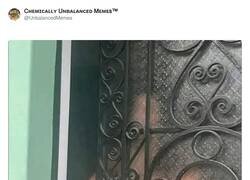 Enlace a Cuando Amazon te pilla ocupada, por @UnbalancedMemes