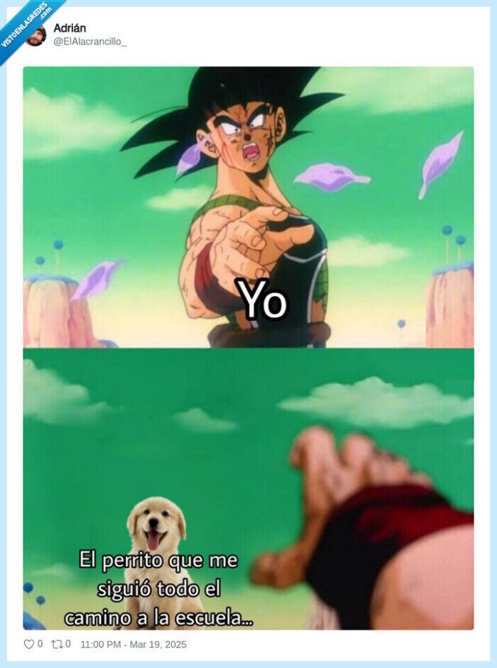 despedidas,perro,escuela,goku
