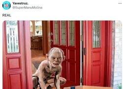 Enlace a ¡MI tesoro! por @supermanumolina