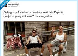 Enlace a Parece que por fin hay tregua, por @DHollyday7