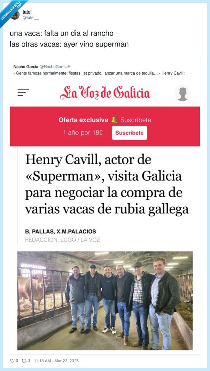 superman,rancho,vacas,vaca,henry cavill