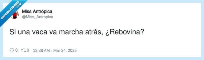 rebovina,marcha atrás,vaca,rebobinar