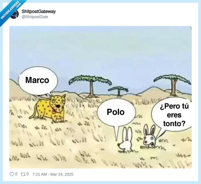 marco polo,juego,conejo