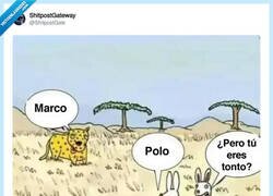 Enlace a Menudo tonto el conejo, por @ShitpostGate