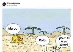 Enlace a Menudo tonto el conejo, por @ShitpostGate