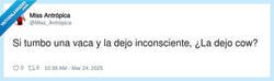 Enlace a Tumbar una vaca, por @Miss_Antropica