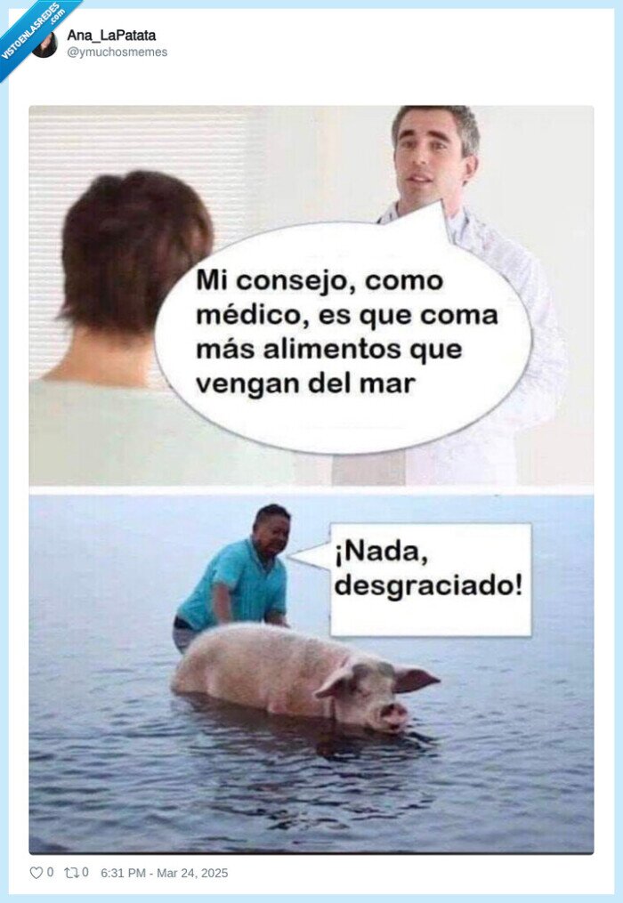 cerdo,nadar,agua,alimentos,mar