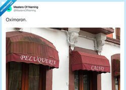 Enlace a Buen oxímoron, por @MastersOfNaming