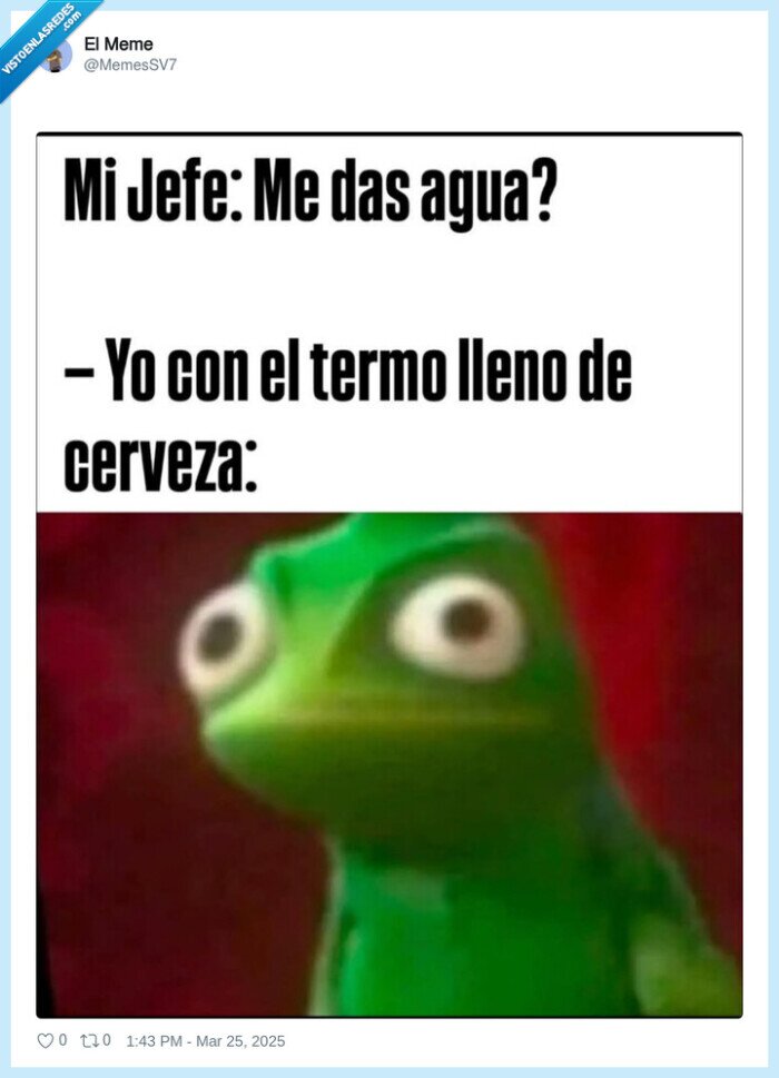 termo,agua,cerveza,jefe,pedir