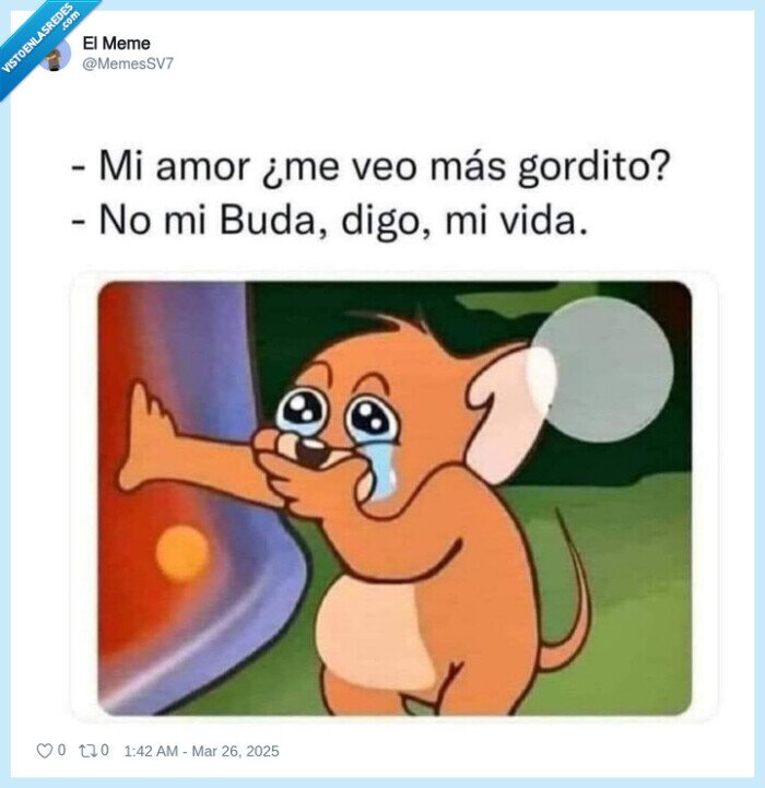 budha,gordo,vida,buda