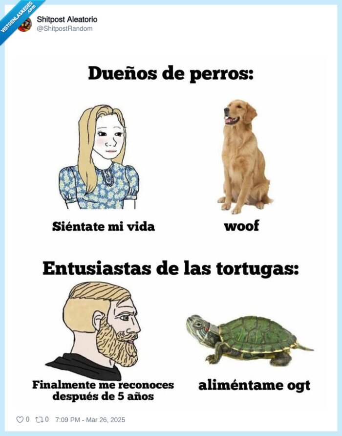 ordenes,mascotas,perros,tortugas
