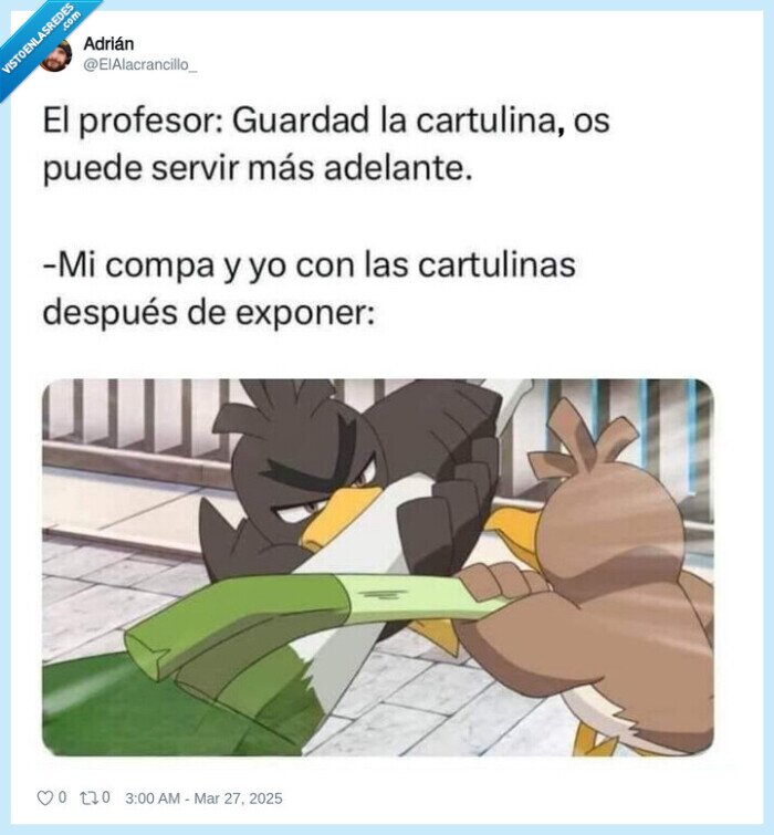 cartulinas,compa,lucha,trabajo